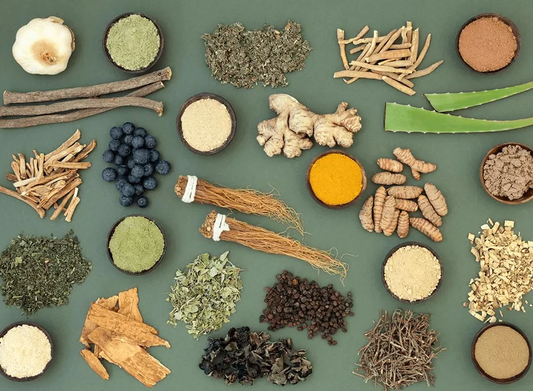 Adaptogens: Providing Energy and Vital Resources for Holistic Body Function